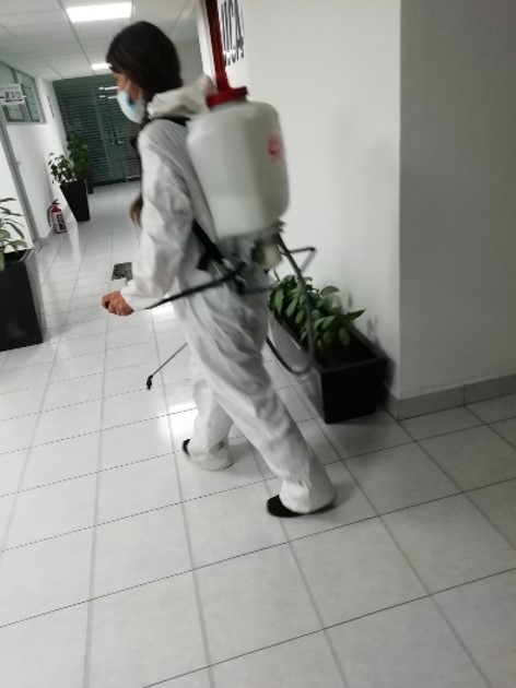 SERVICIO FUMIGACION
